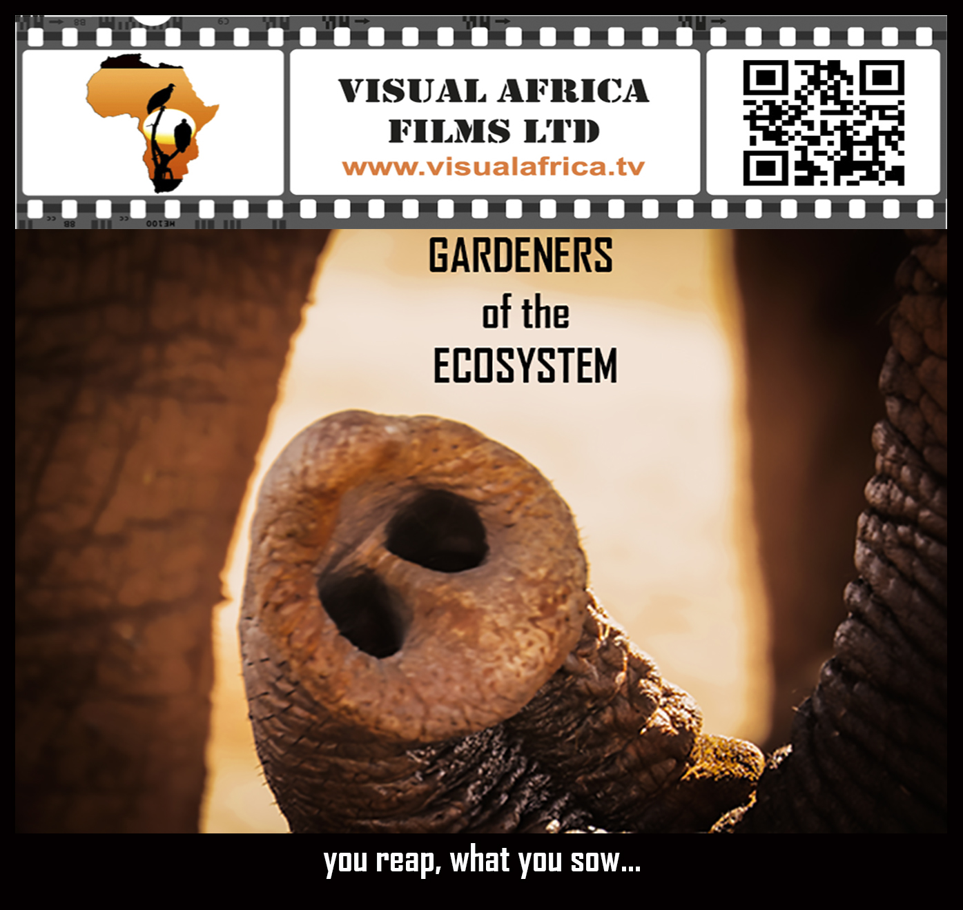 #Films4AfricanWildlife 