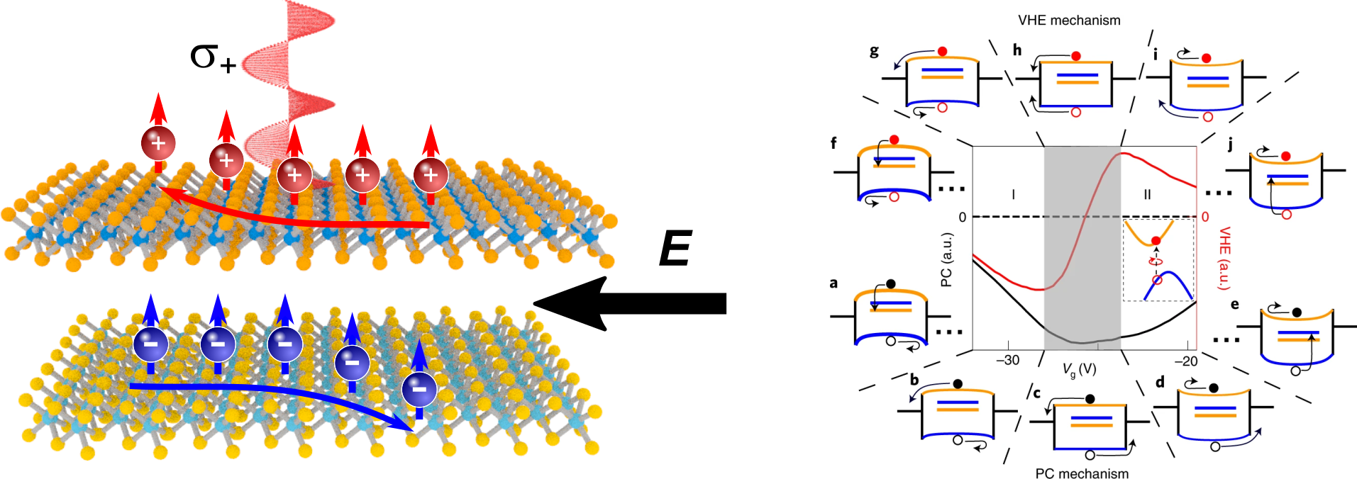 A room-temperature gate-tunable bipolar valley Hall effect in molybdenum disulfide/tungsten diselenide heterostructures