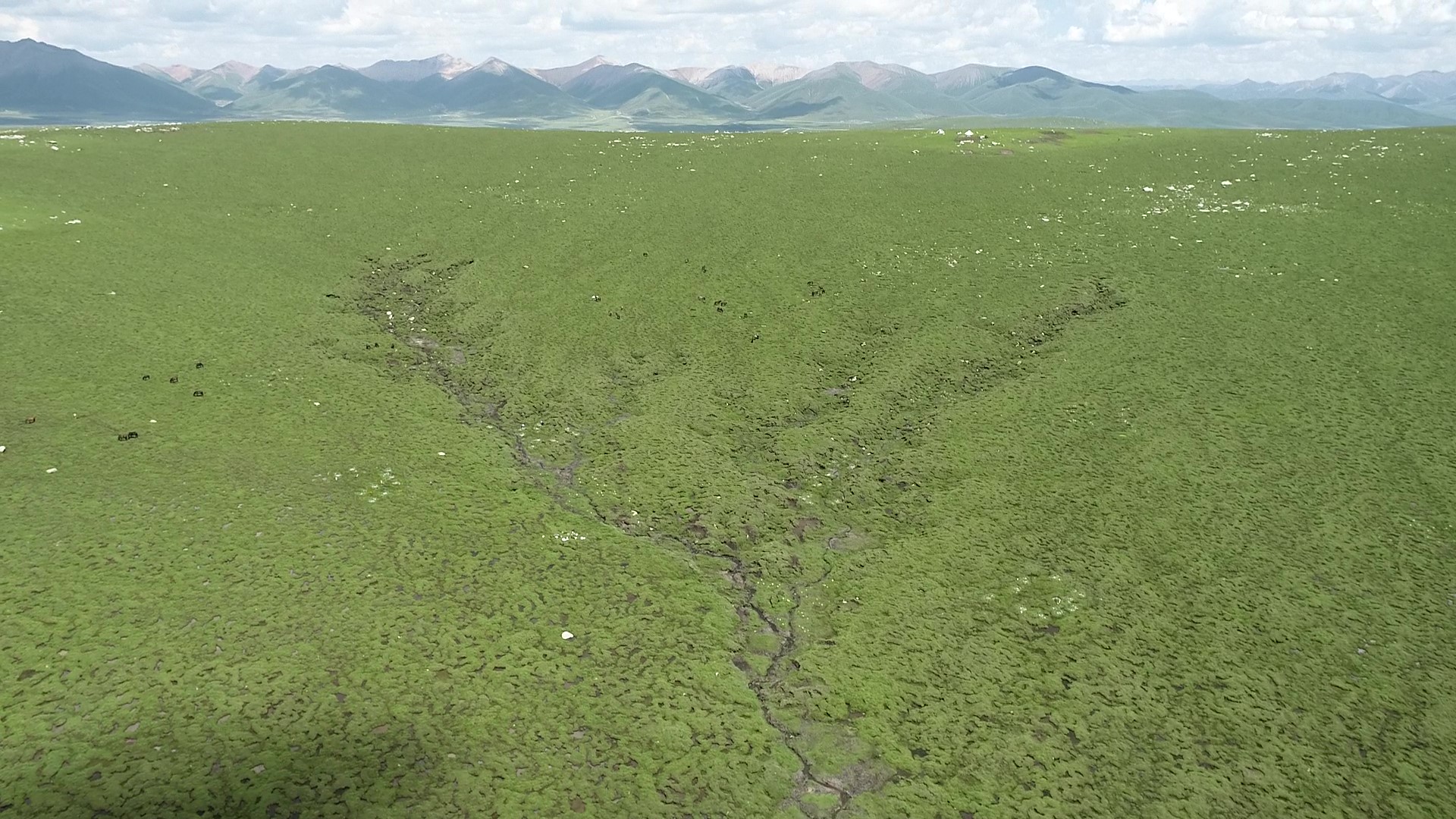Permafrost collapse stimulates warming response of soil carbon dioxide flux