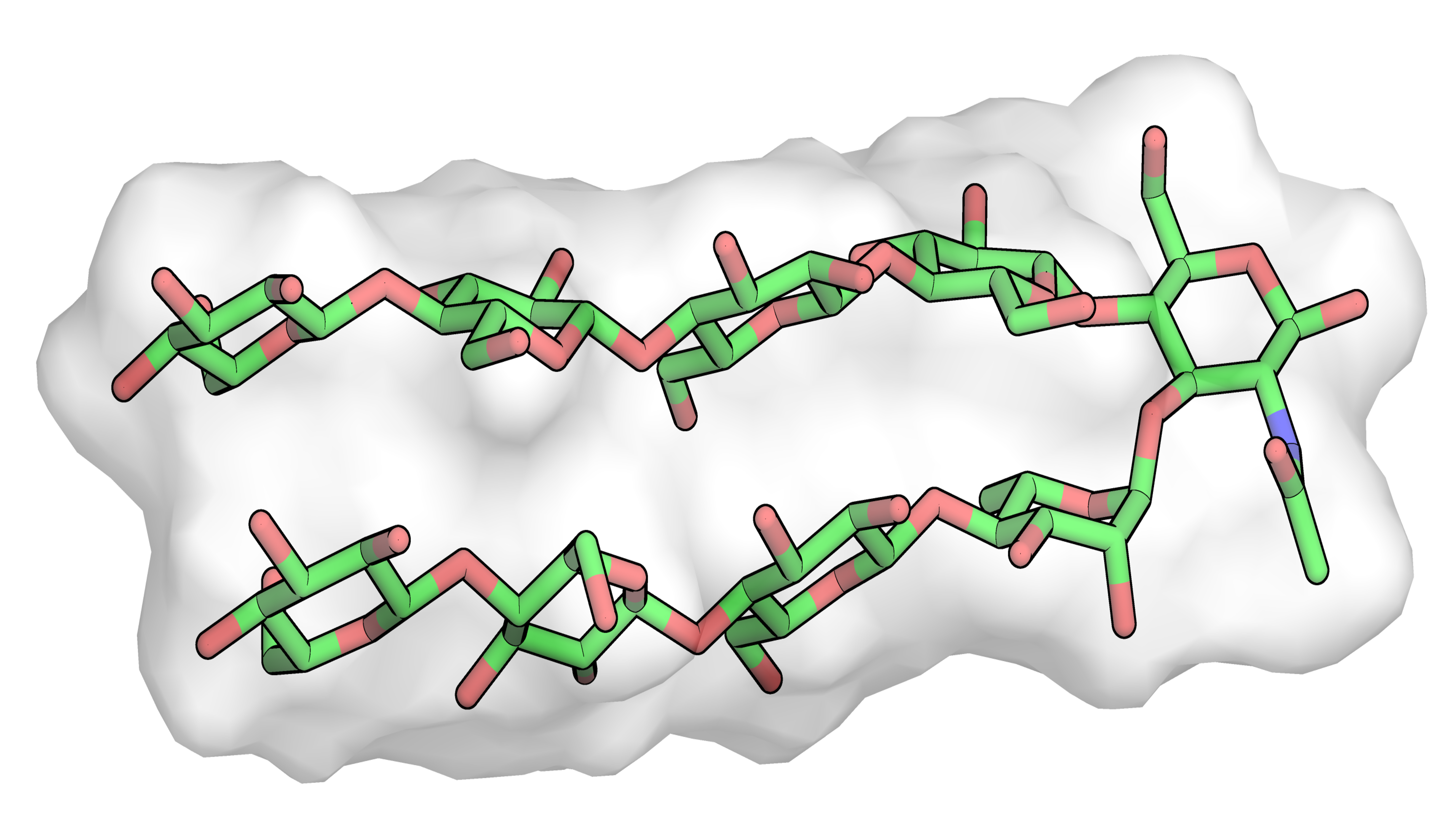 Synthesis of a glycan hairpin