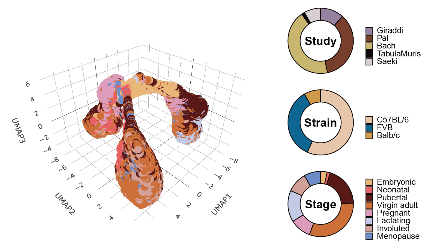 Mammary cell gene expression atlas links epithelial cell remodeling events to breast carcinogenesis