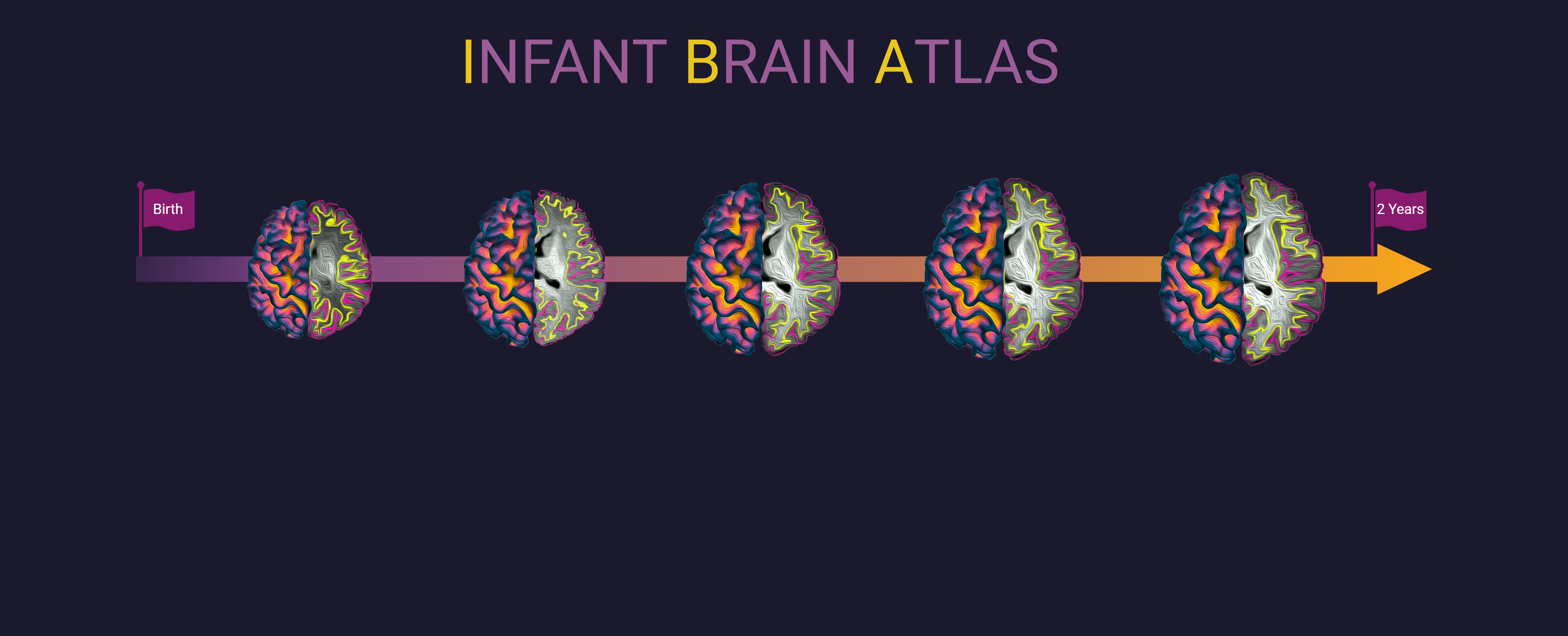 Birth to Two — Charting the Early Years of Human Brain Development