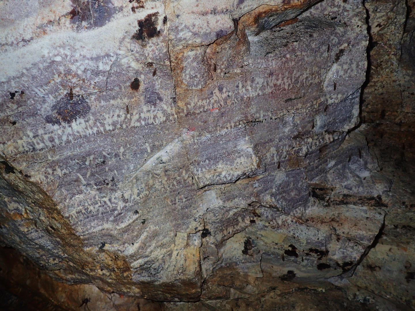 On the sources of lithium-rich granites and pegmatites