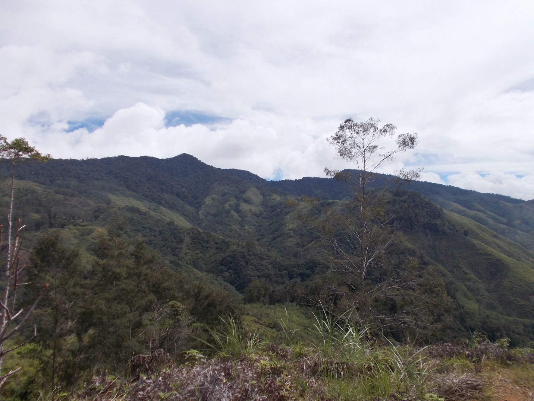 Behind the paper: Persistent tropical foraging in the highlands of terminal Pleistocene/Holocene New Guinea