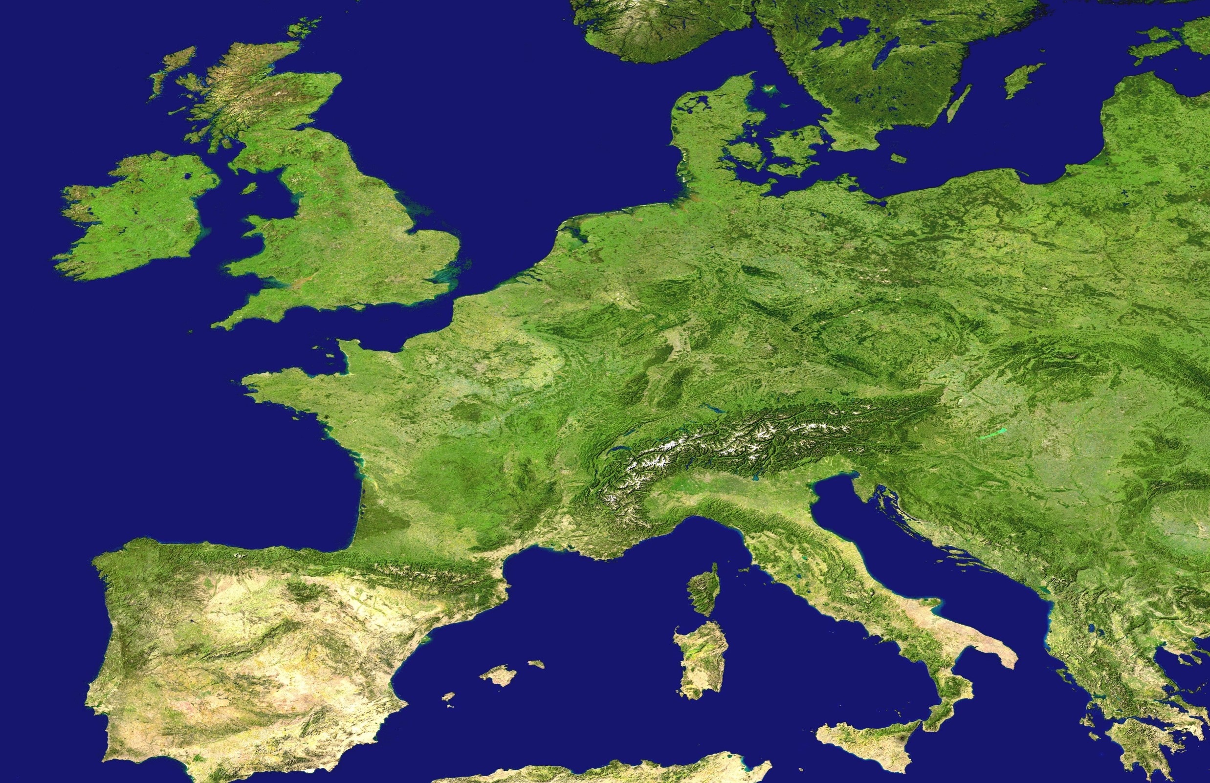 FEBS Short-Term Fellowships insights: to Paris and London in 2023
