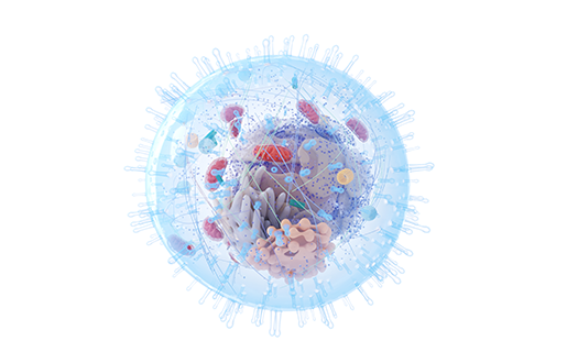 Single Cell OMICs Clustering and Dimensionality Problem