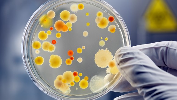 Just Published! Explore the “Antimicrobial Resistance” Collection in Communications Medicine