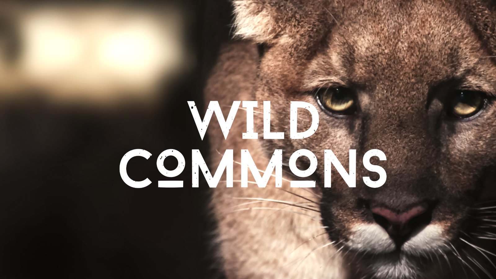 Free to watch nature & environmental films