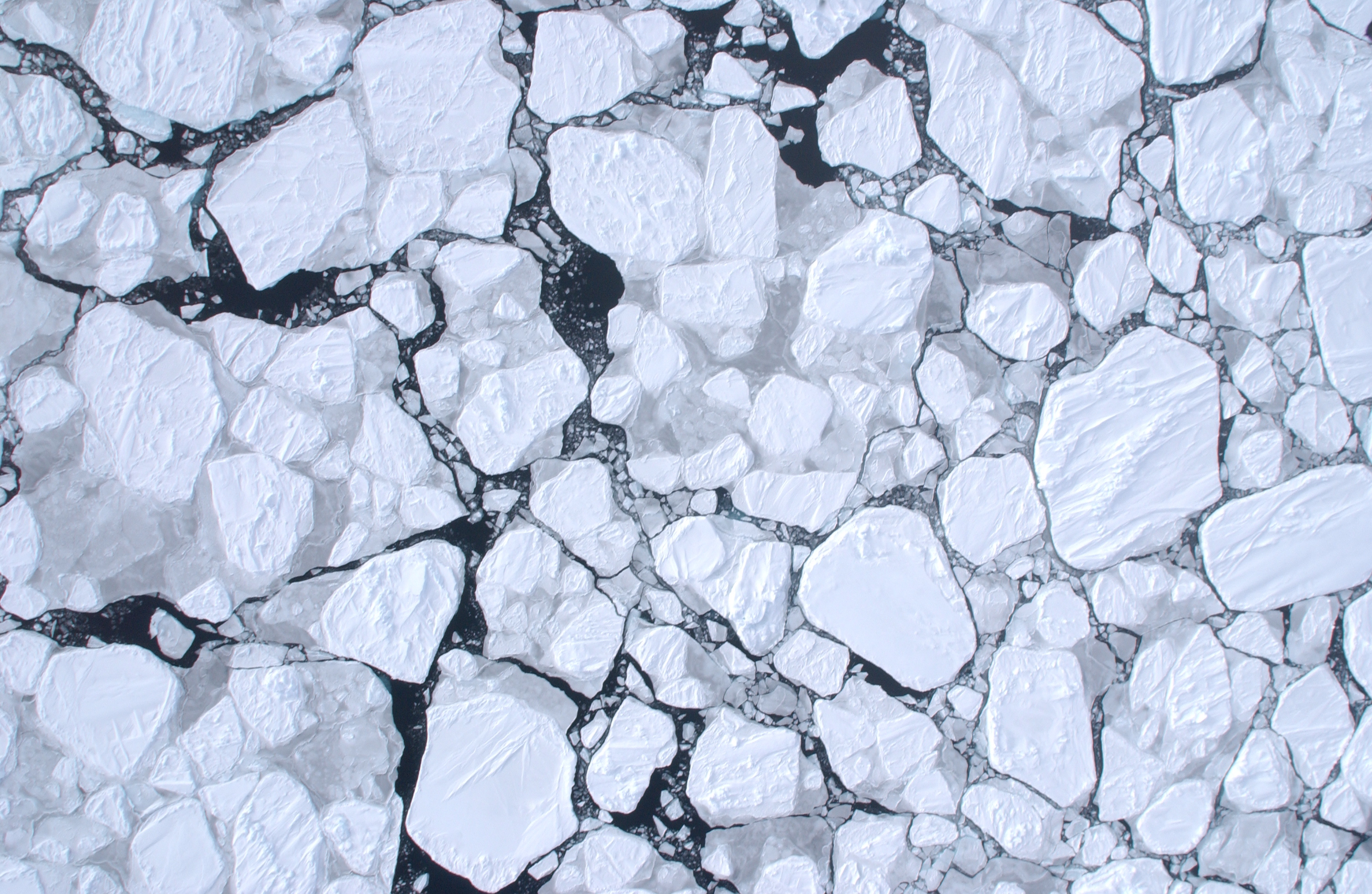 Has Antarctic sea ice entered a new regime? 