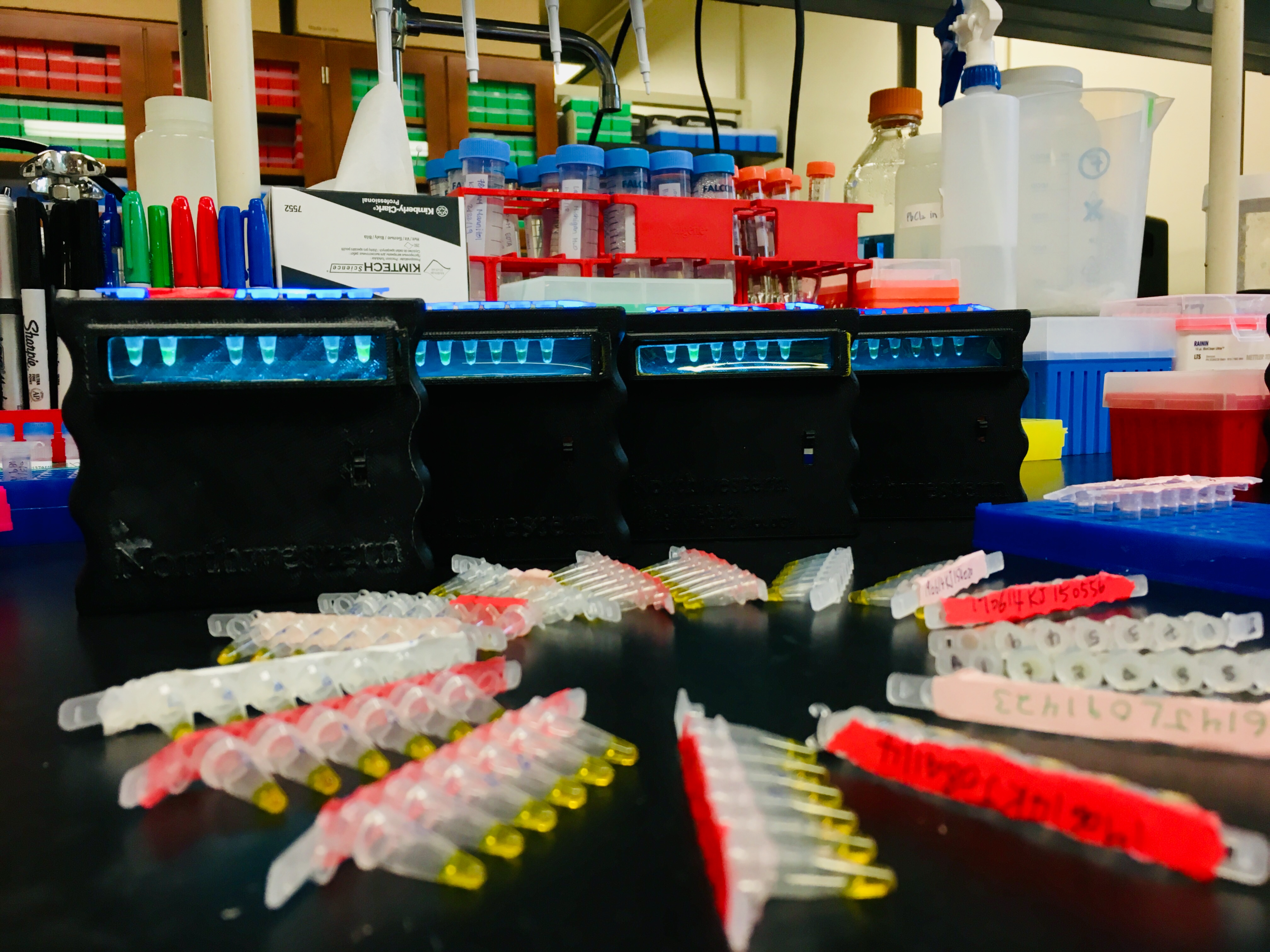 ROSALIND Part 2 – Field-deployable Biosensors for Detecting Waterborne Contaminants with RNA Engineering