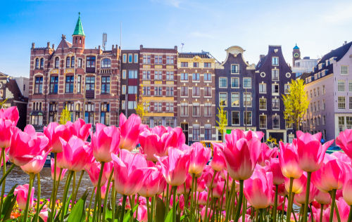 FEM Amsterdam Conference - advice regarding the Novel Coronavirus