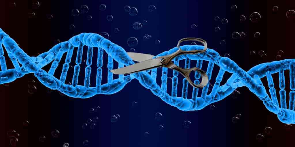 FDA approval for CRISPR/Cas9-based therapy for SCD – an accomplishment for science, not for majority of the patients.
