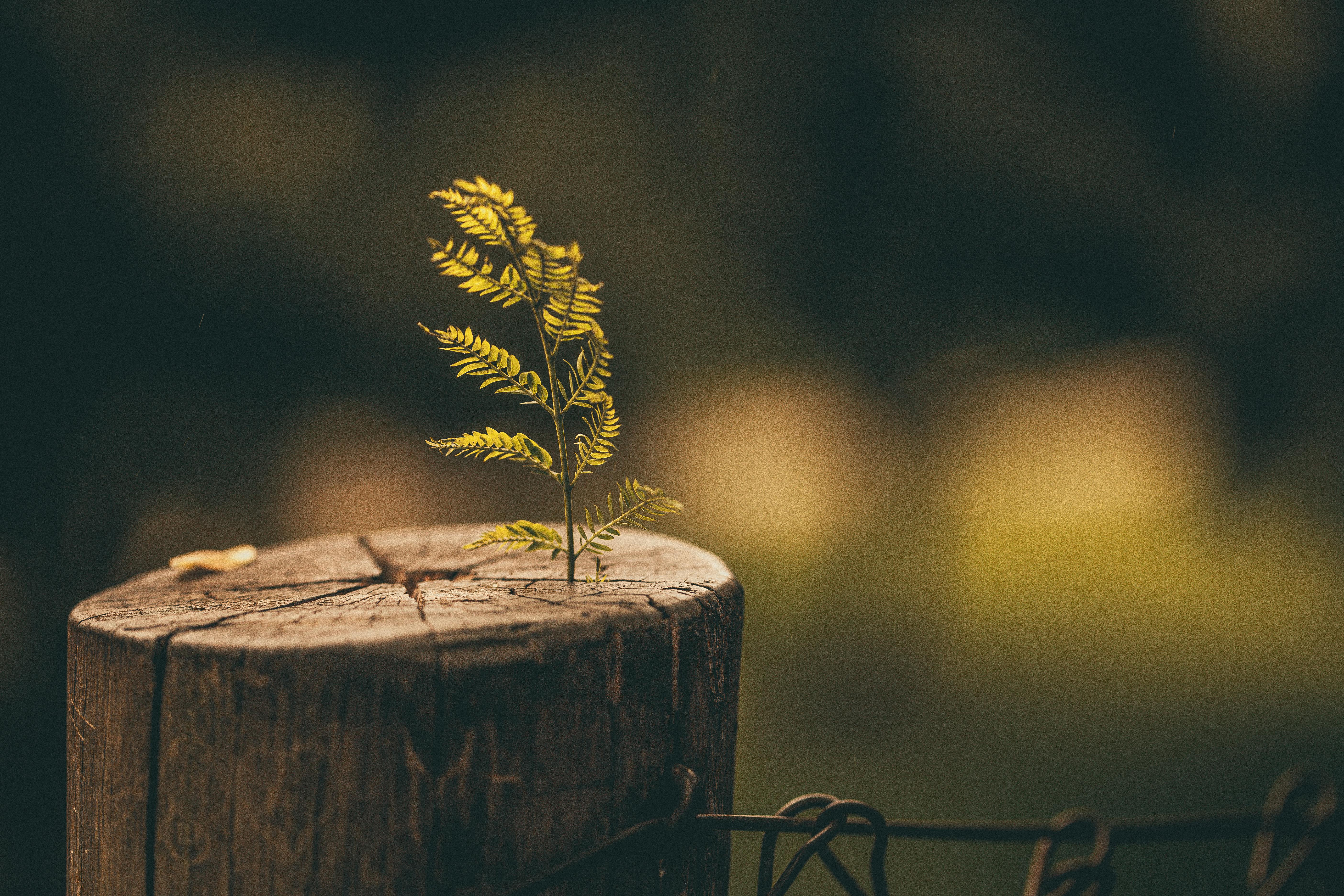 Discovering a self-determined pathway to sustainable spiritual growth
