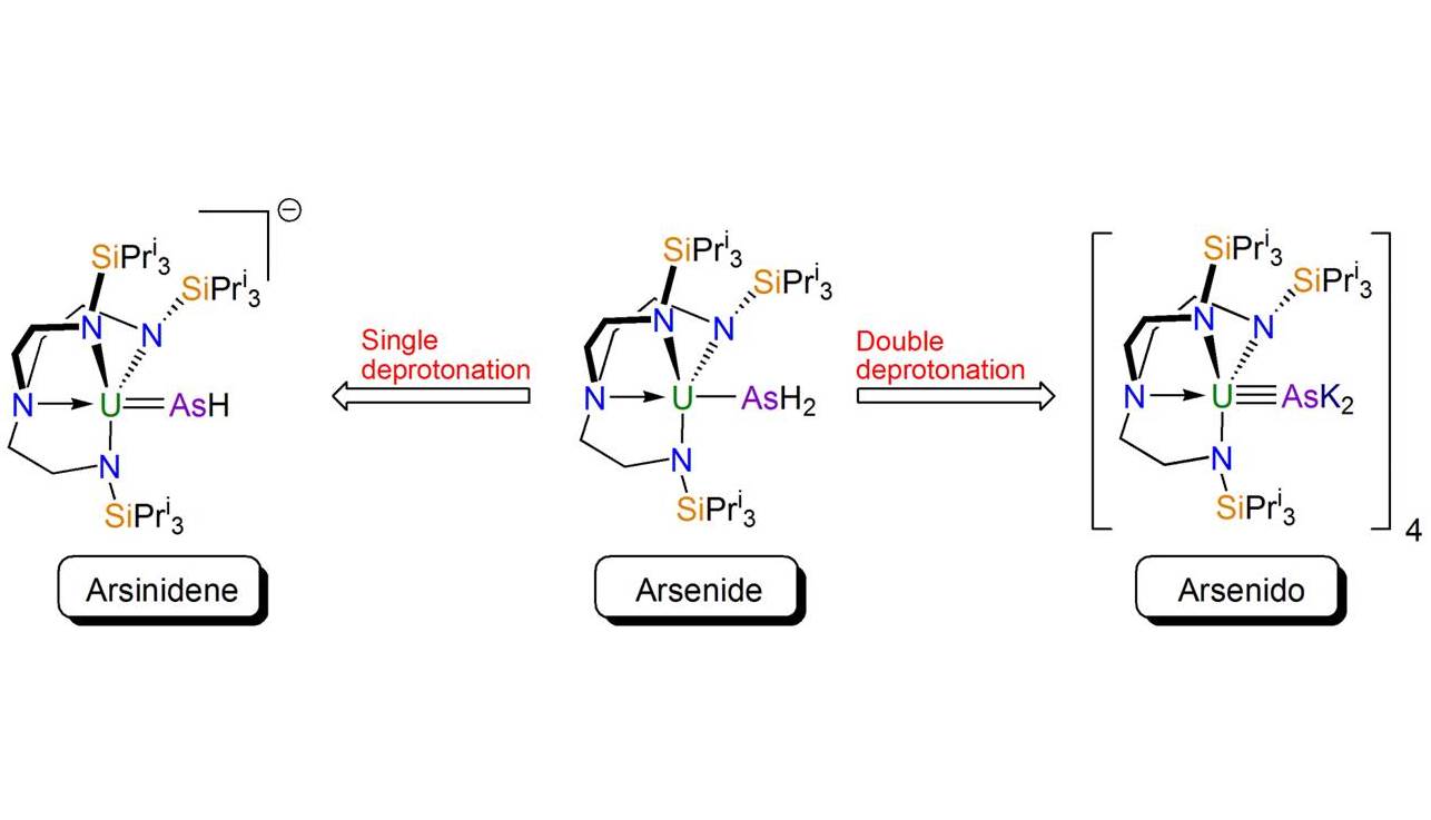 Bringing Actinide and Main Group Chemistry Together