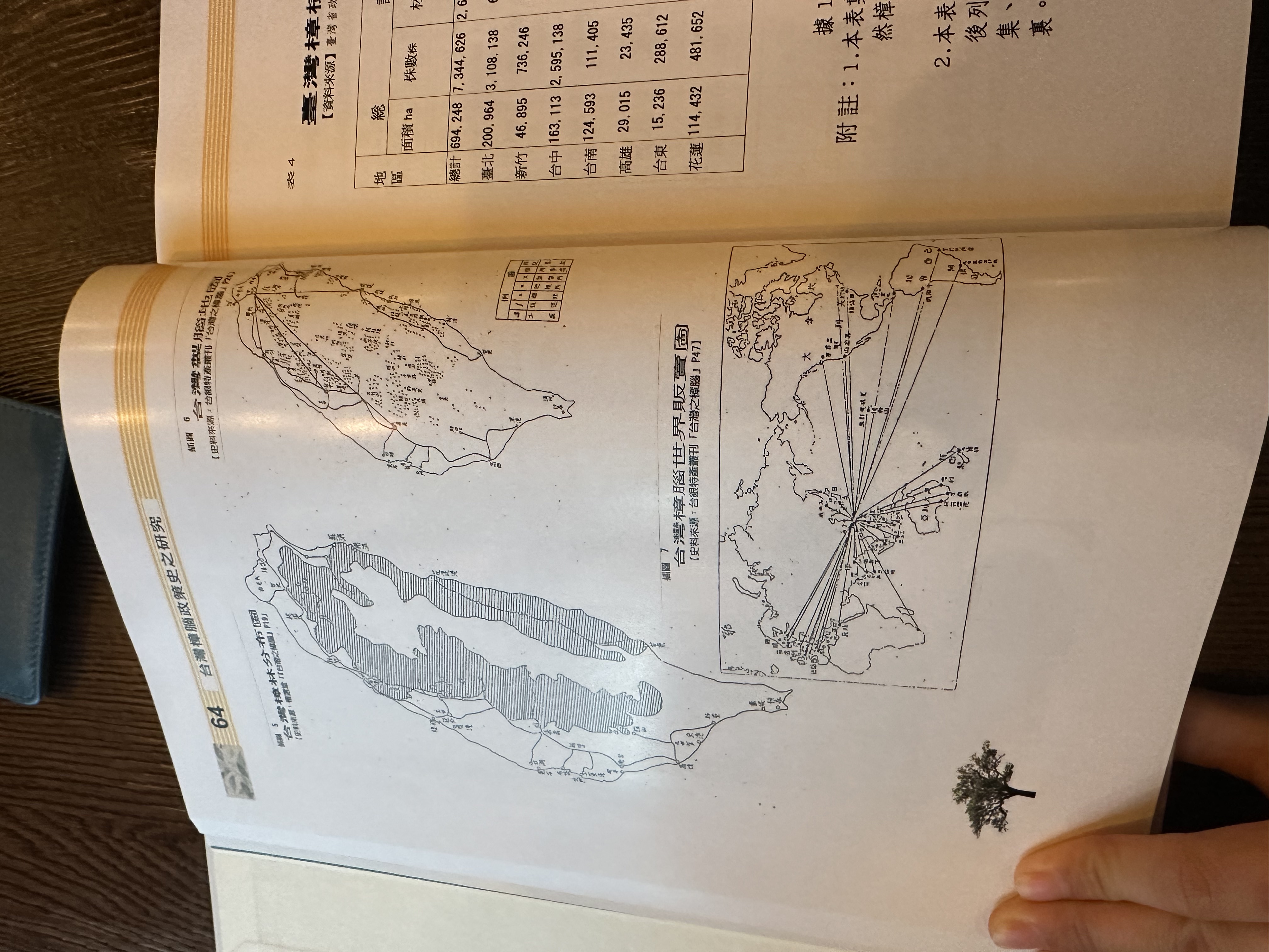Field Journal, Week 2