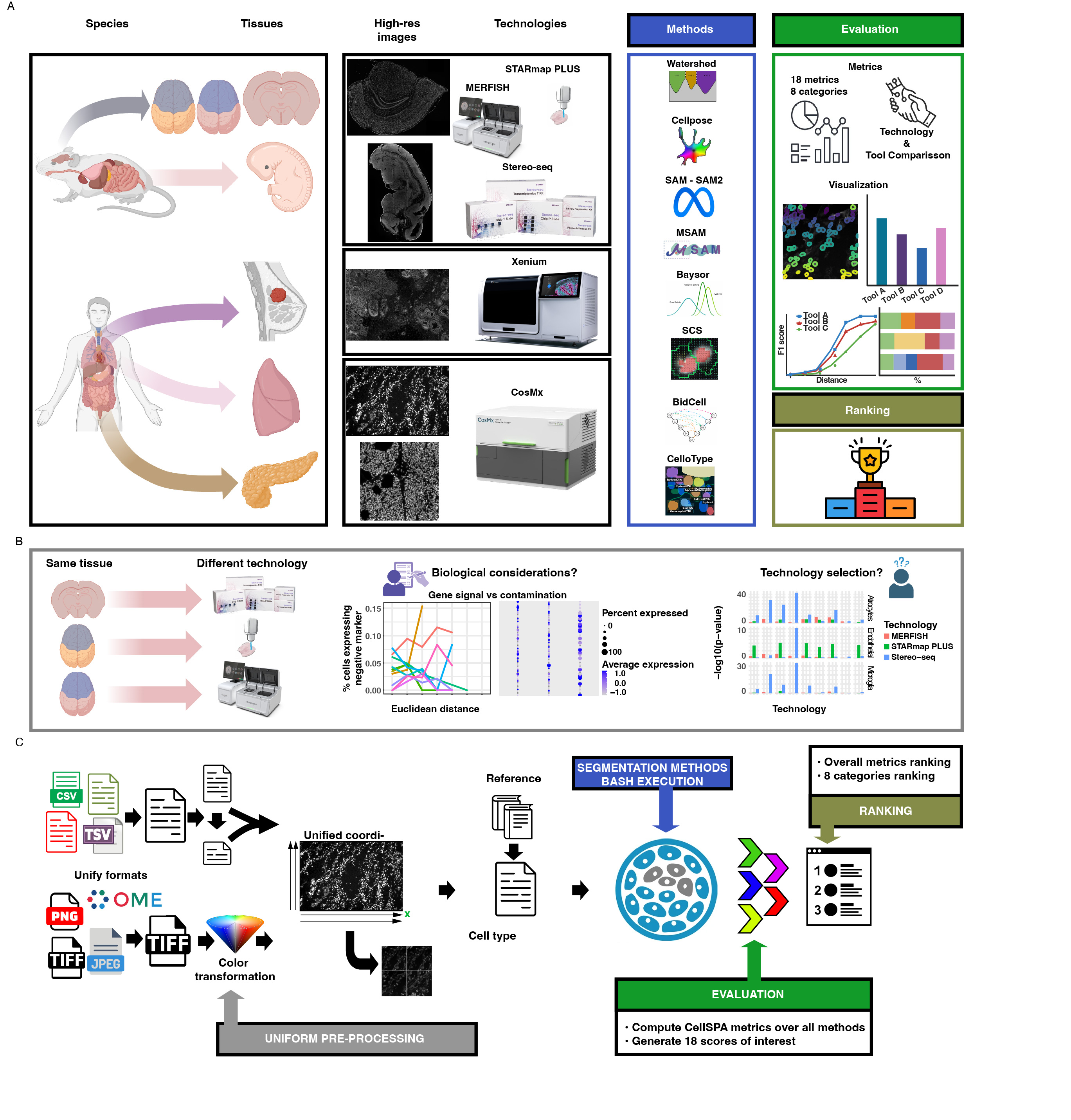 Benchmarking spatial transcriptomics segmentation: Evaluation as a driver of better methods