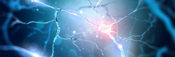 Neurodegeneration: From Mechanisms to Precision Diagnosis and Therapies 