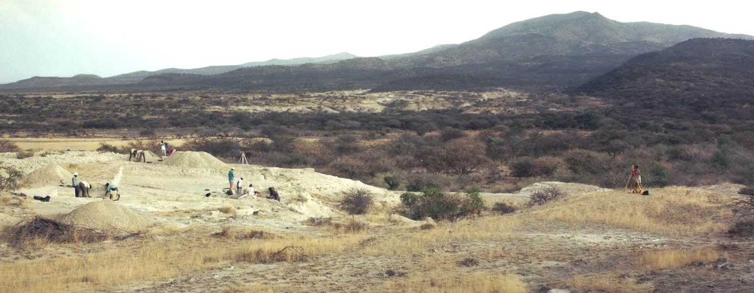 Environmental variability and human evolution