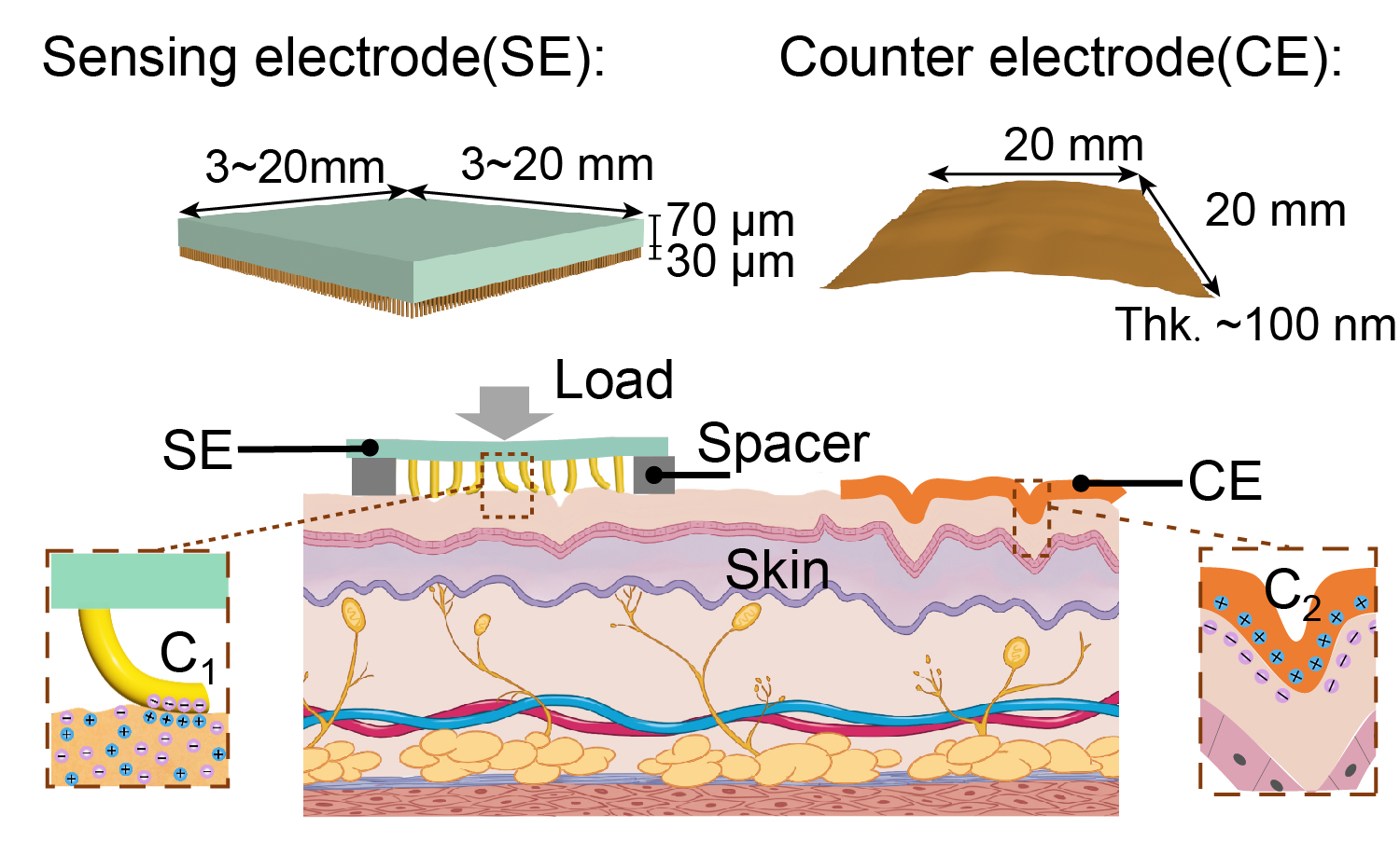 Skin-Electrode Mechanosensing Structure (SEMS)
