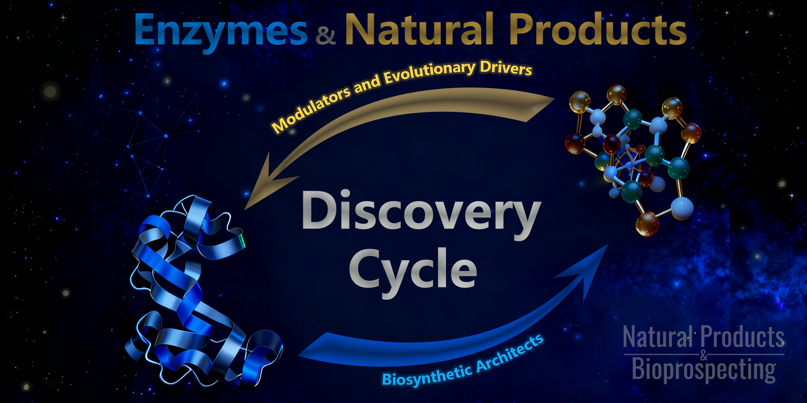 Enzymes and Natural Products :  The Interactive Cycle from Biosynthesis to Precision Discovery