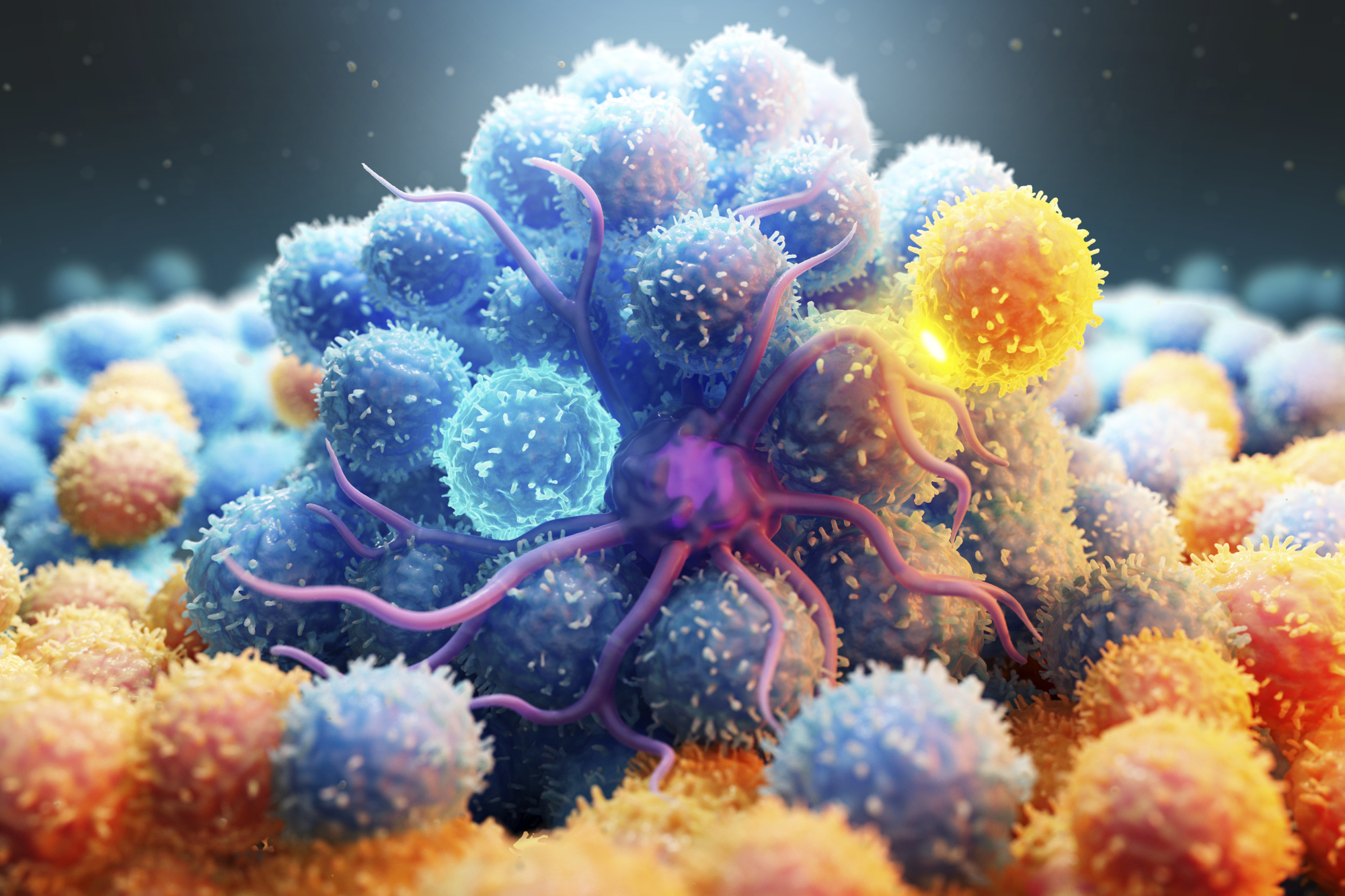 Call for papers: Stromal Immunology
