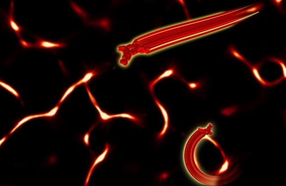 Moving molecules for microns down a supramolecular path using light