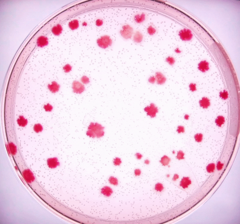 Monod’s missing molecule