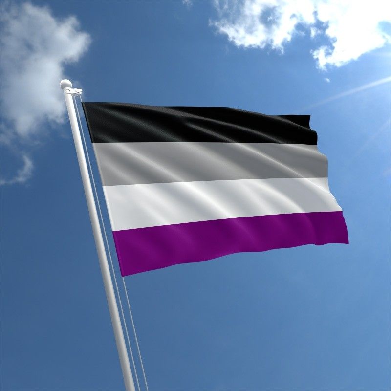 2023 Summer research project on Asexuality and Mental Health