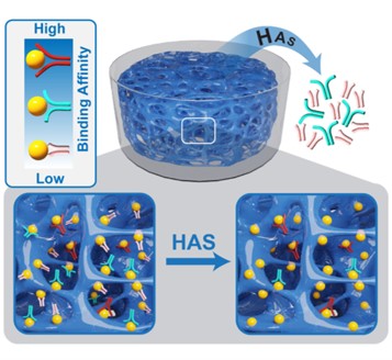 Finding “chemical antibodies” is no longer like finding a needle in a haystack