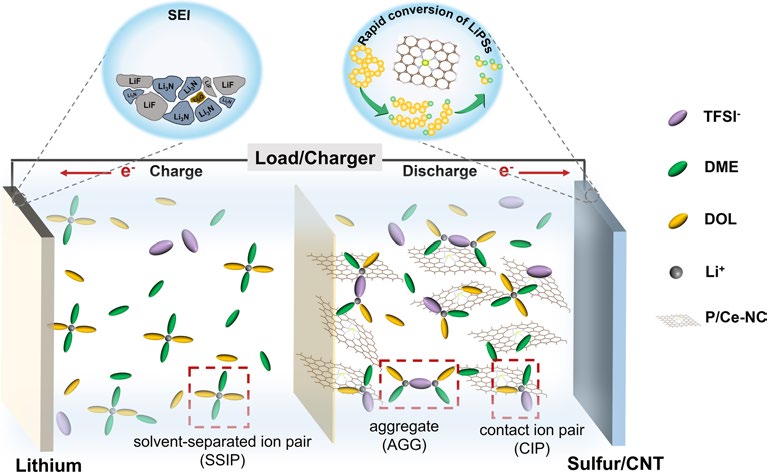 Breaking the Limitations of Sulfur Redox Kinetics by Accelerated Li+‑Desolvation in Lithium–Sulfur Batteries