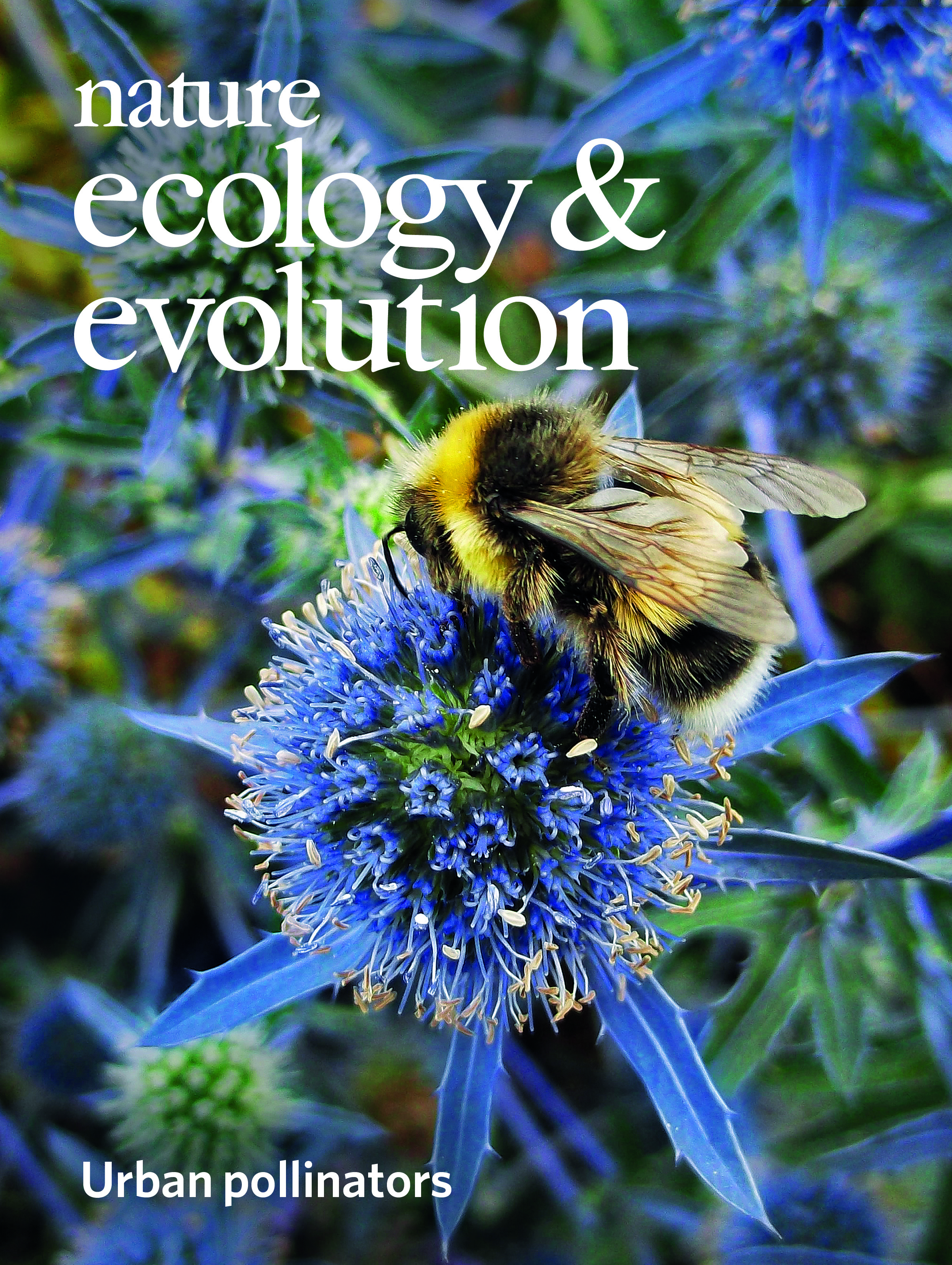 Gallery | March 2019 cover
