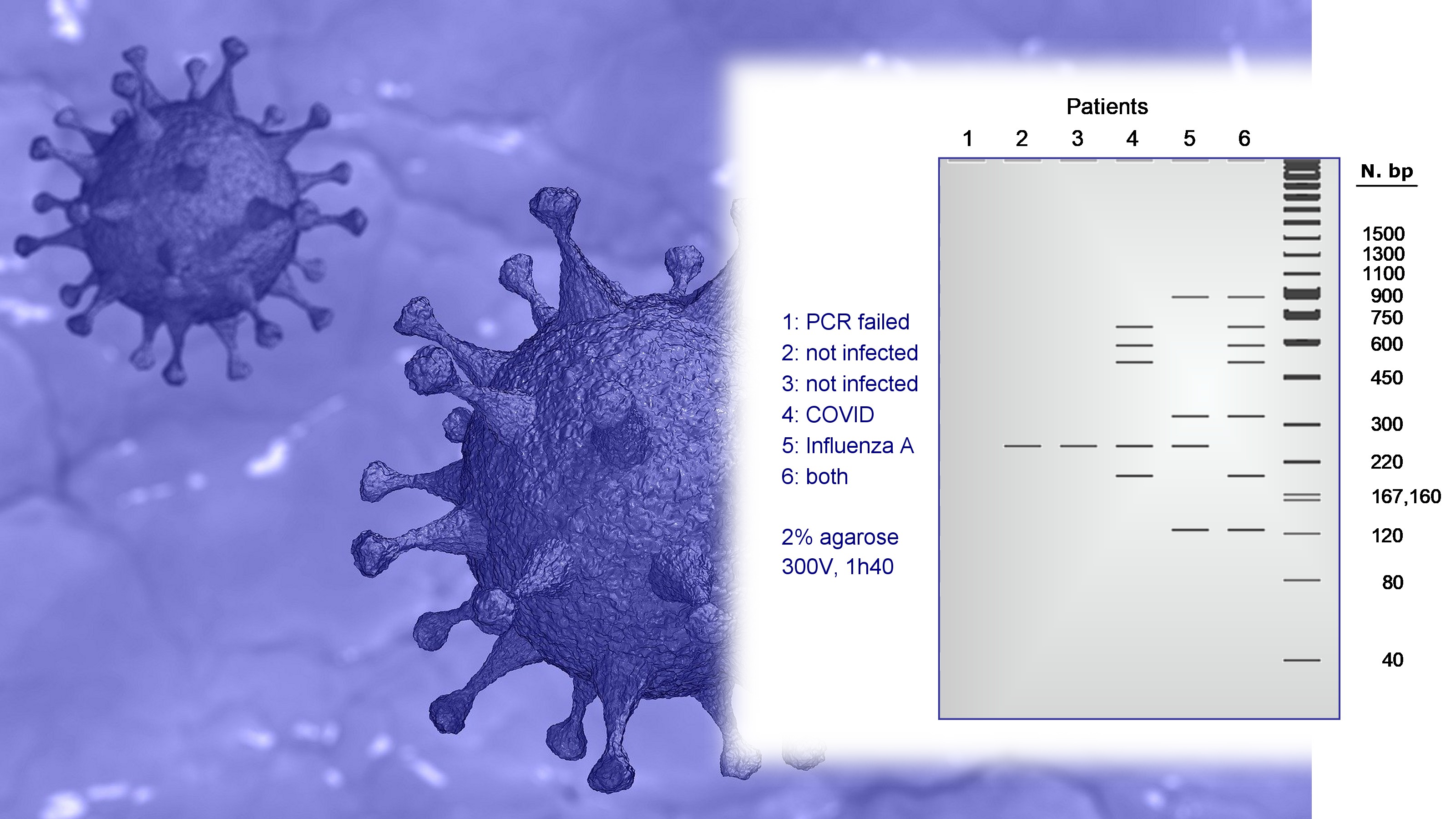 Learn by doing — risk-free and from your home: how a genetic test detects Coronavirus