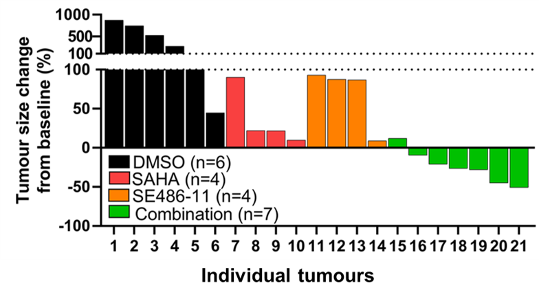 A novel therapeutic approach to MYC-driven cancer 
