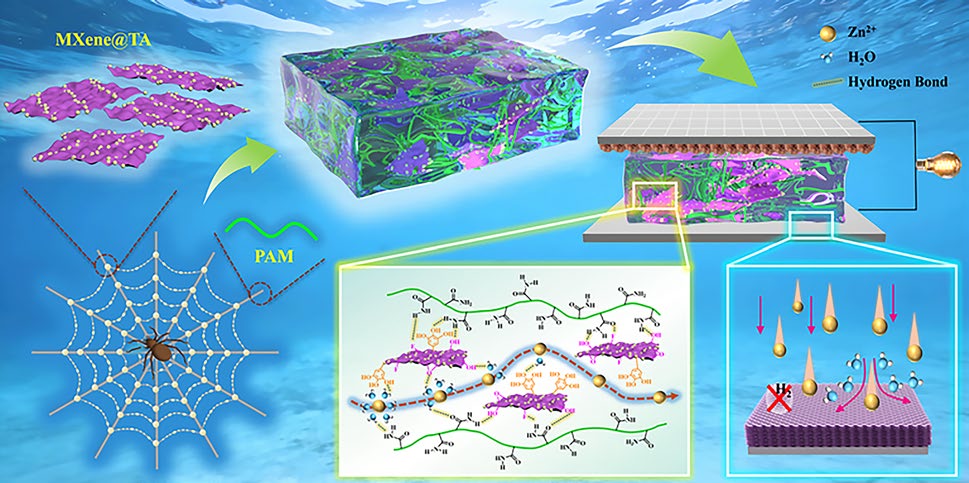 Bioinspired Hierarchical Hydrogel Electrolyte for Ultralong‑Life Flexible Zinc‑Ion Batteries