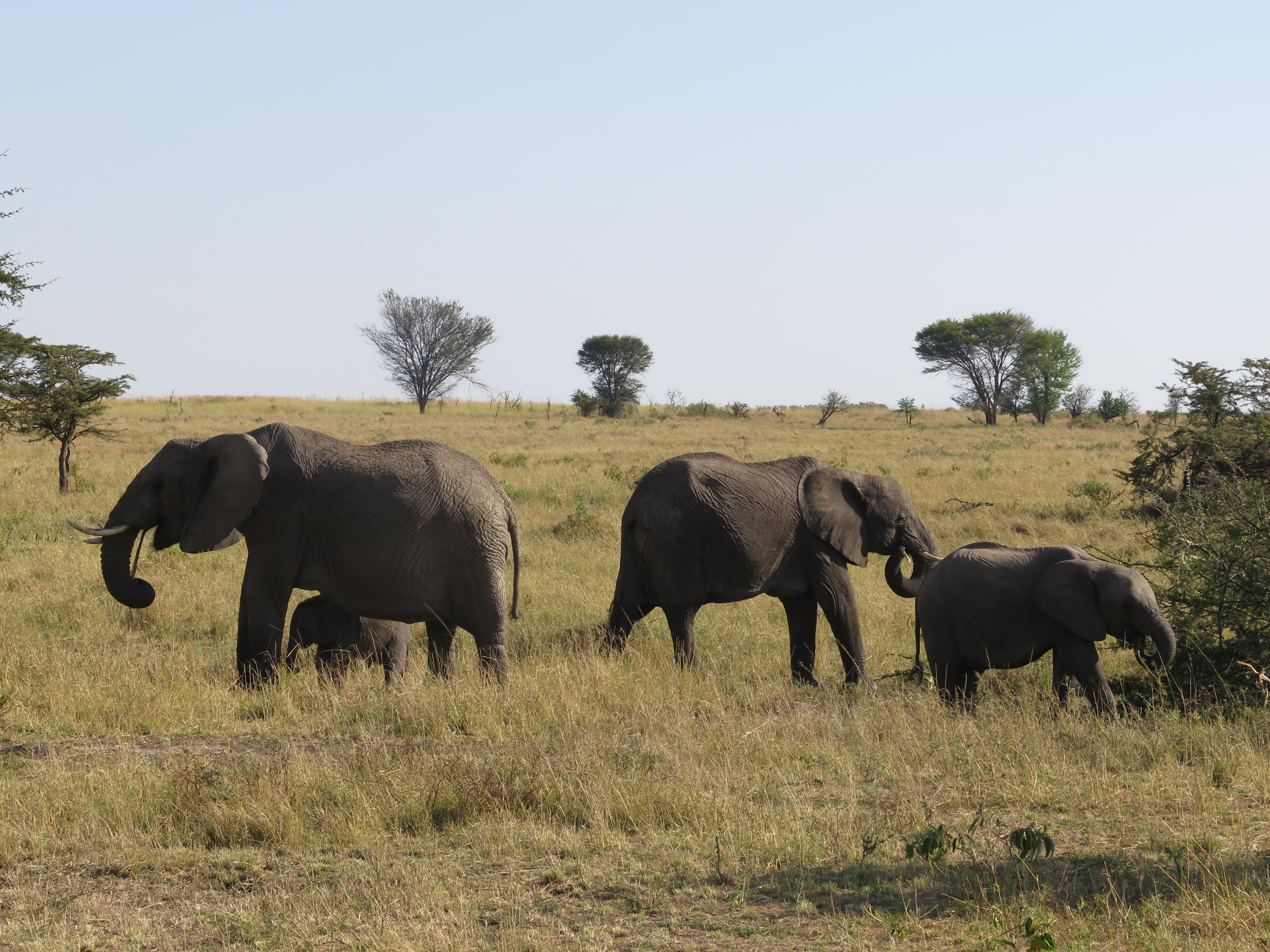 Academic Freedom and Censorship in Biodiversity Conservation 