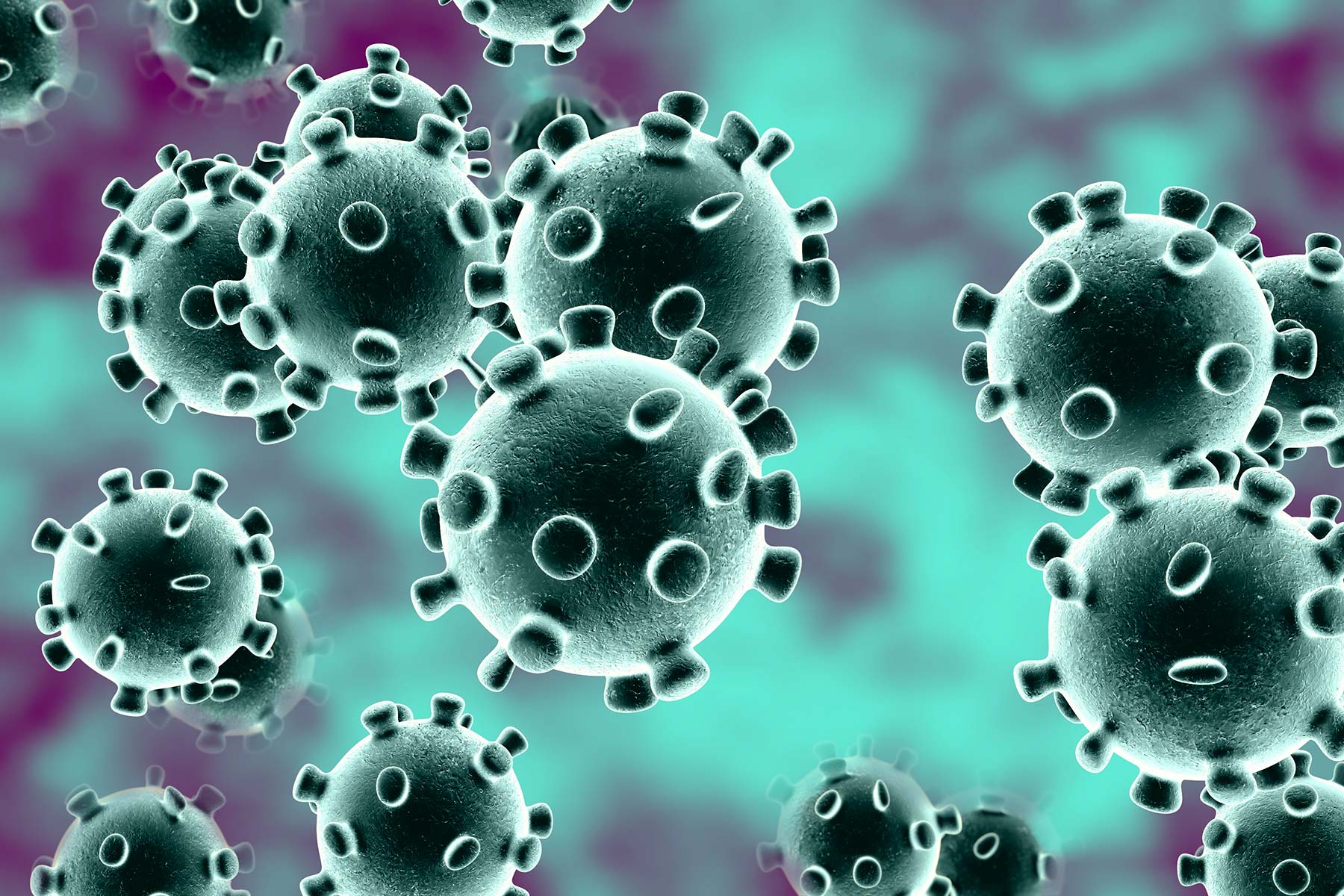 News and links of interest on the Covid-19
