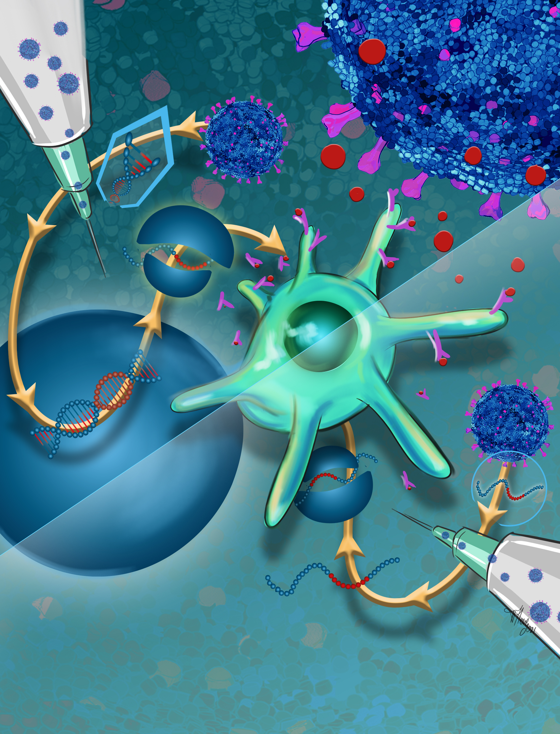 Announcing the winners of The FEBS Journal 2021 Cover Image Competition 