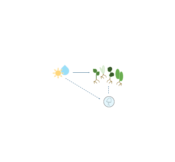 How does human disturbance impact plant-associated pathogens, and why does it matter? 