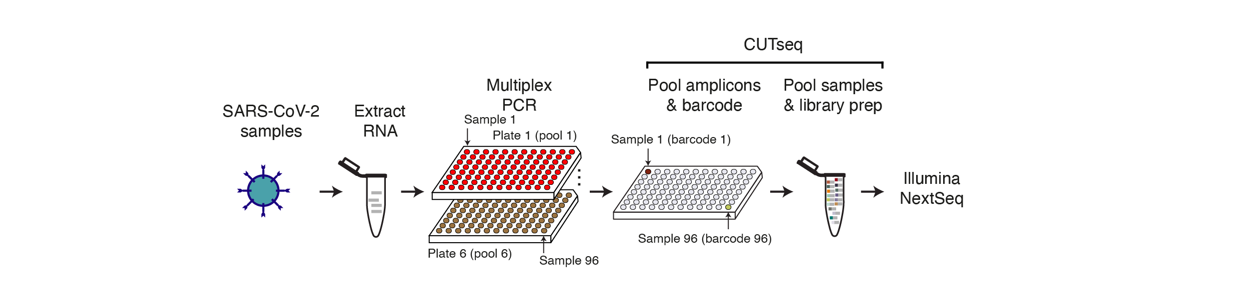 Genomic surveillance of SARS-CoV-2 made easy and cost-effective