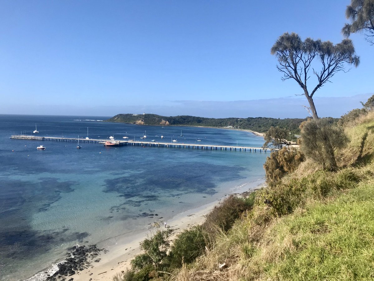 Urban population structure and dispersal of an Australian mosquito (Aedes notoscriptus) at the Mornington Peninsula, Australia