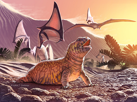 Understanding the early evolution of a major  neotropical radiation