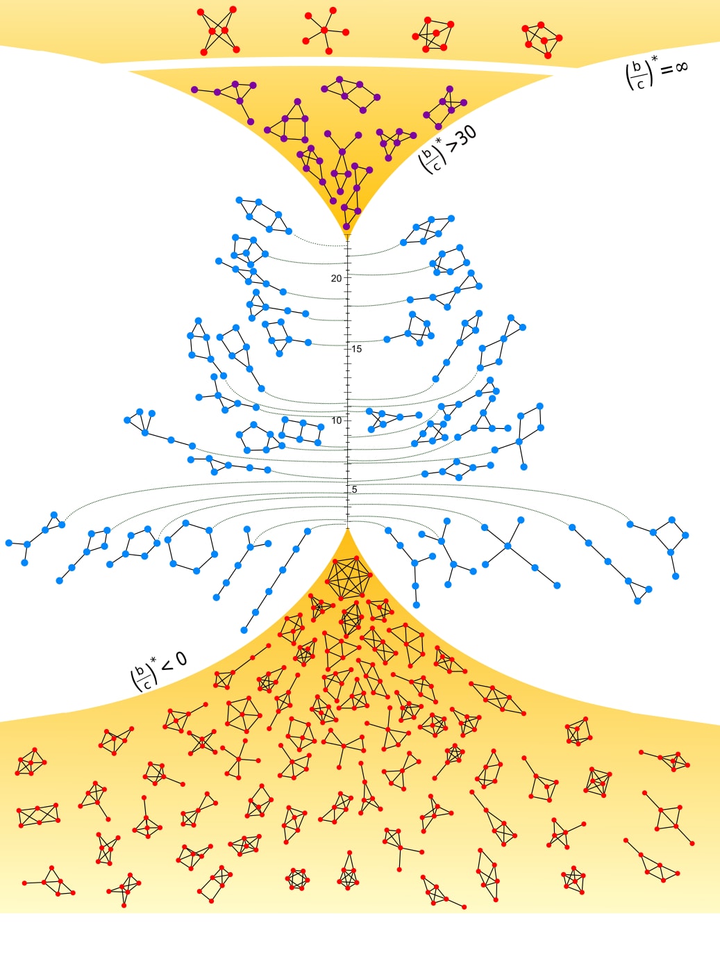 A most cooperative network