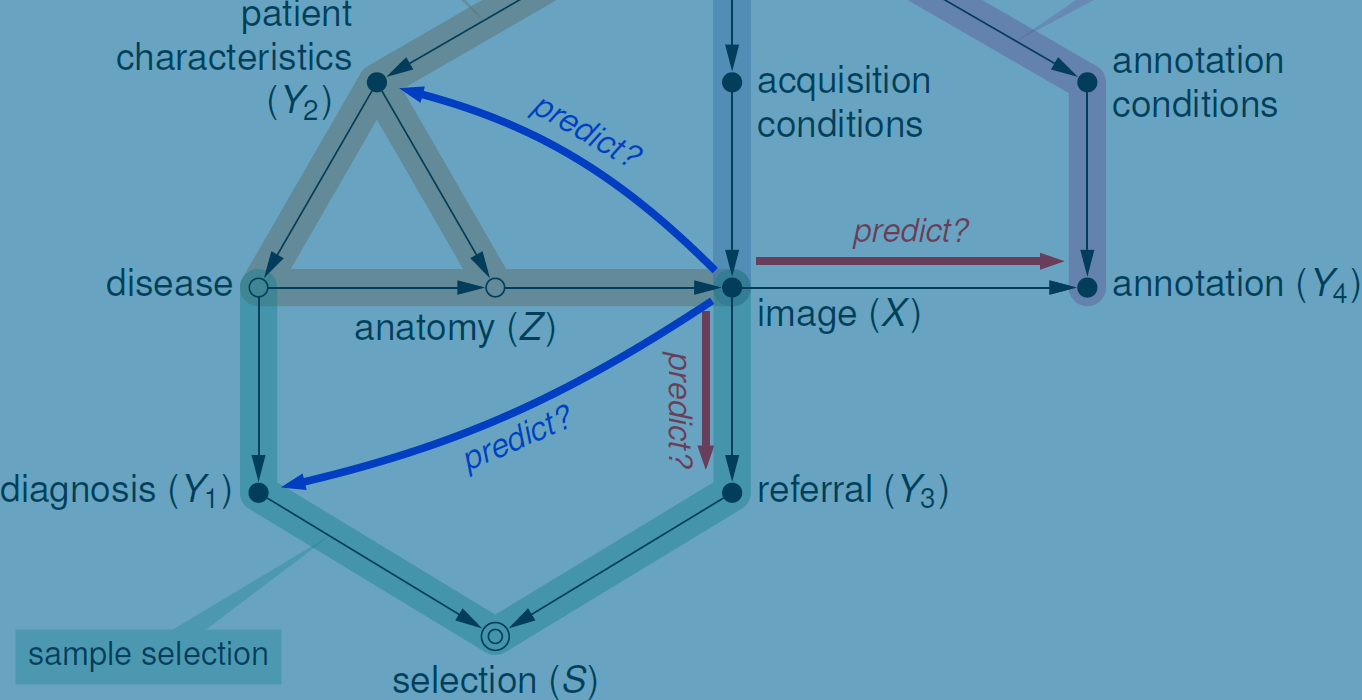 Causality in predictive analytics
