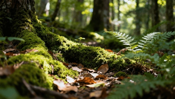Project Outline: Nature's Pharmacy Project 