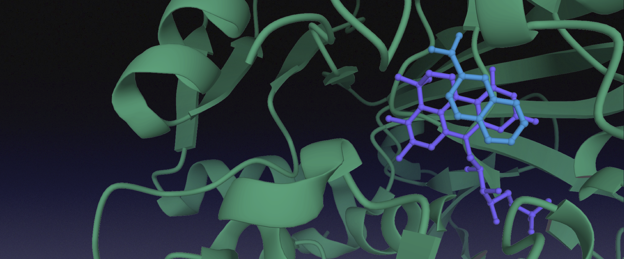 Novel enzymatic cascades for C-H-activation of aromatic and hetero-aromatic compounds