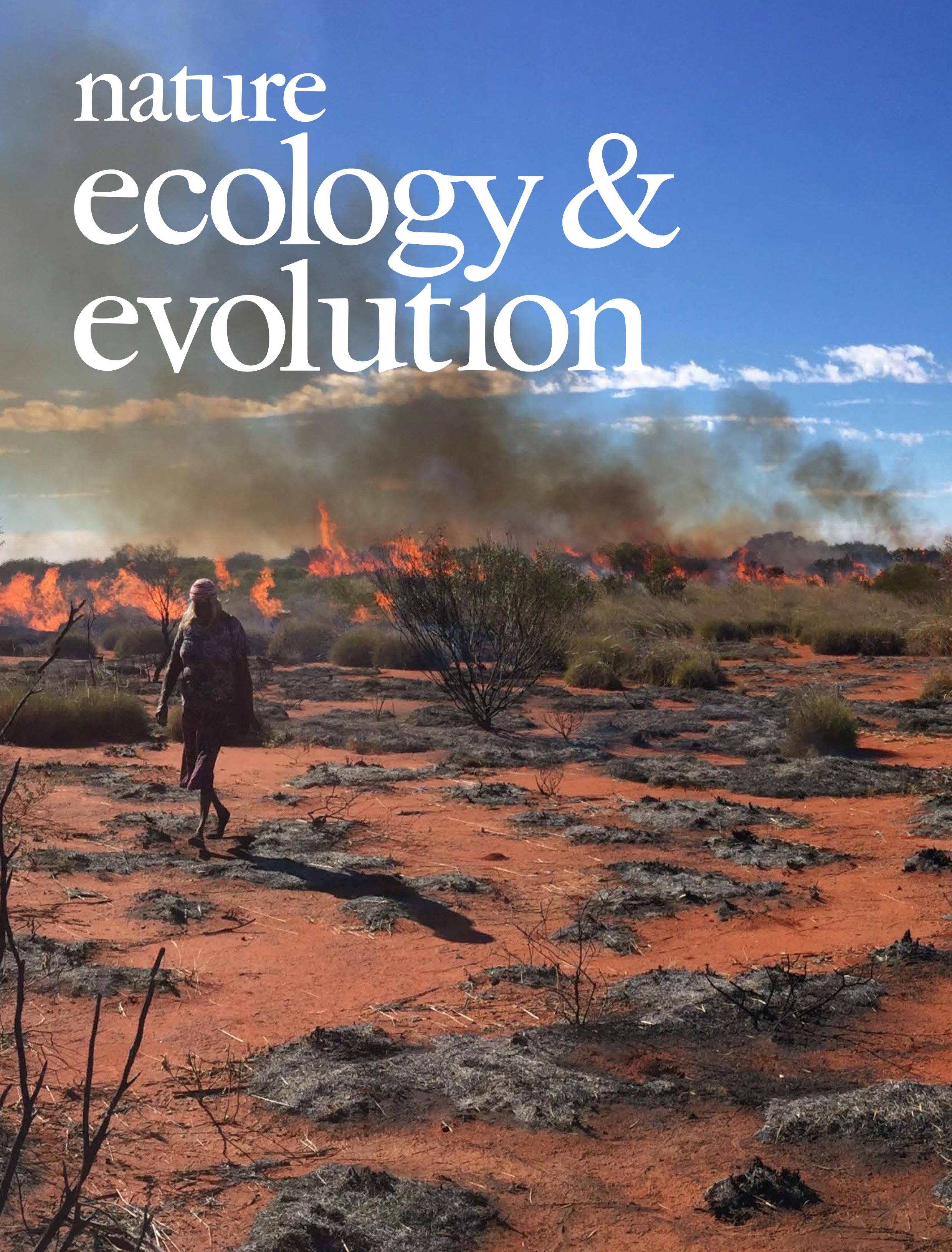 Gallery | March 2017 cover