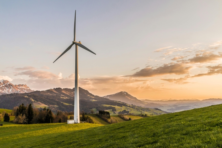Insights session: from ESG strategy to sustainability reporting
