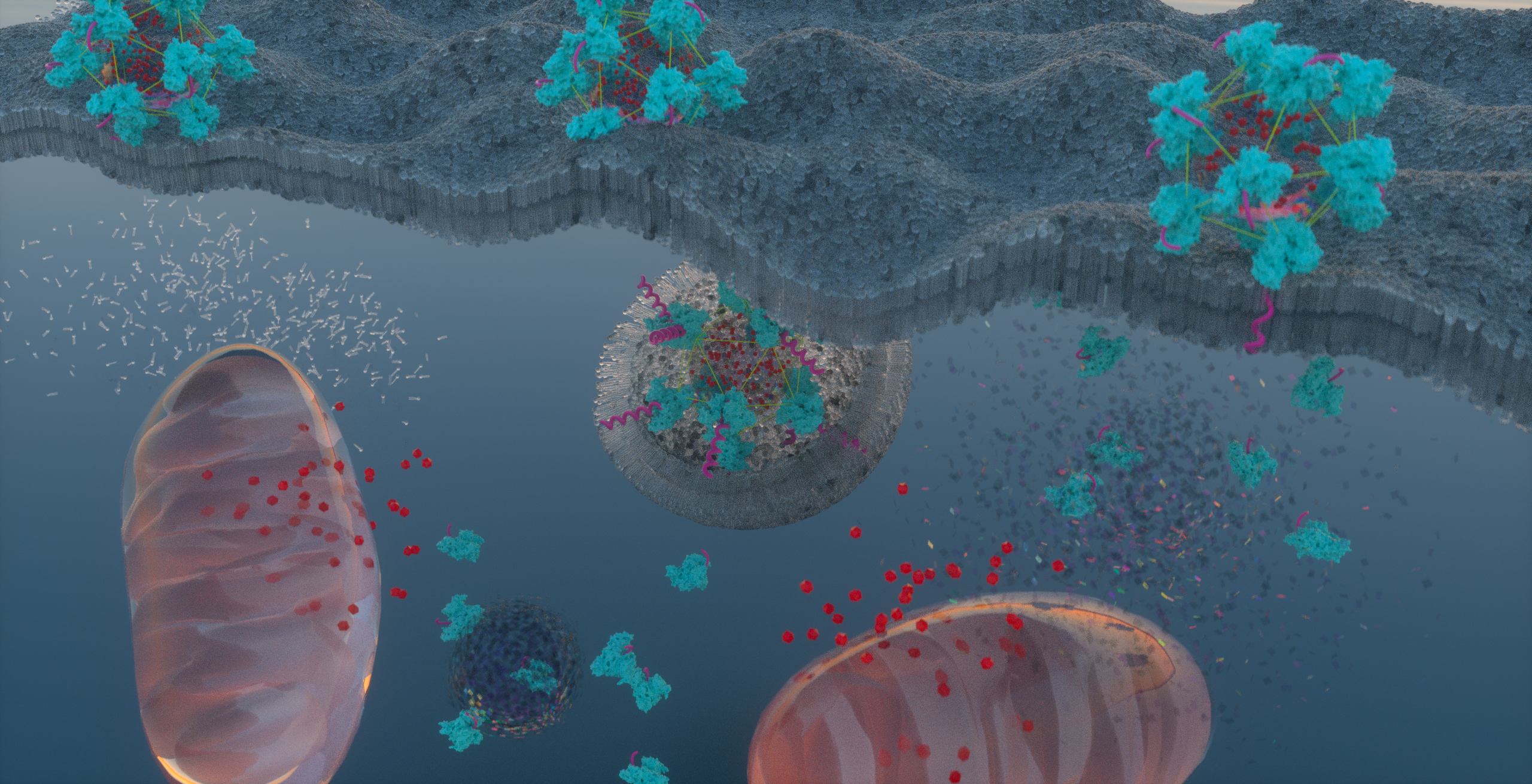Exploiting the unique properties of tumors to deliver chemotherapeutics to cancer cells