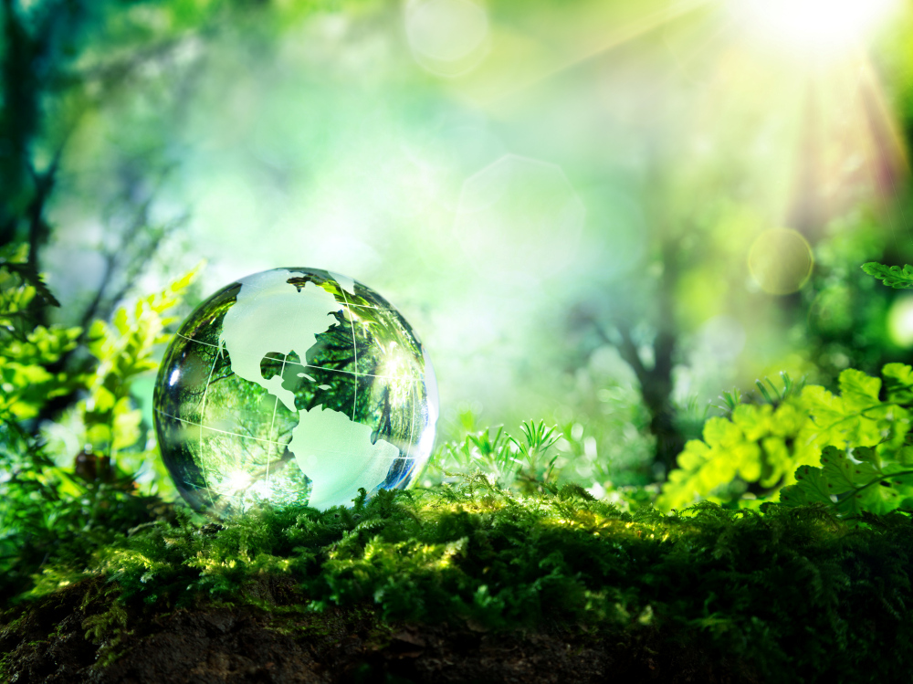 Call for Papers: Plants Under Pressure: The Impact of Environmental Change on Plant Ecology and Evolution 