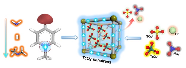 Pertechnetate Anion Nanotraps